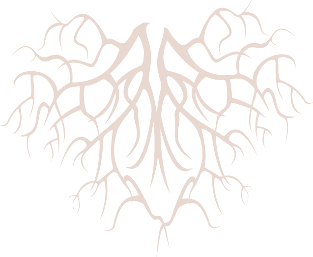 roots.png