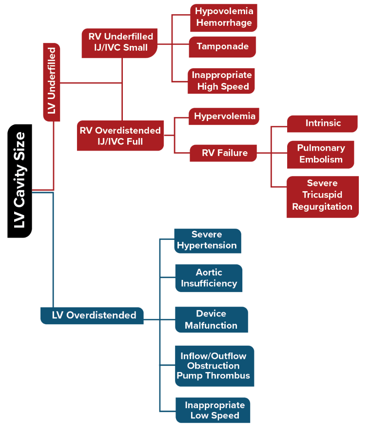 LVAD Fig 3.png