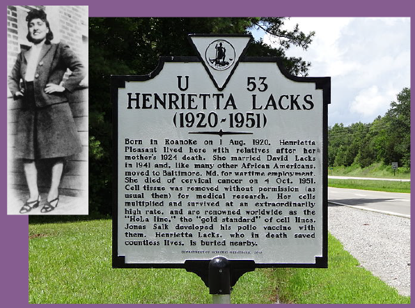 History Matters - Henrietta Lacks.png